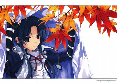 leaves, Sengoku Rance, Misaki Kurehito - desktop wallpaper