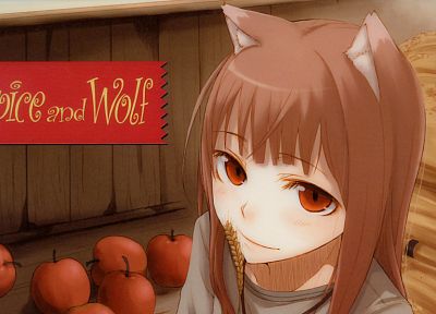 Spice and Wolf, animal ears, artwork, anime, Holo The Wise Wolf, apples - related desktop wallpaper
