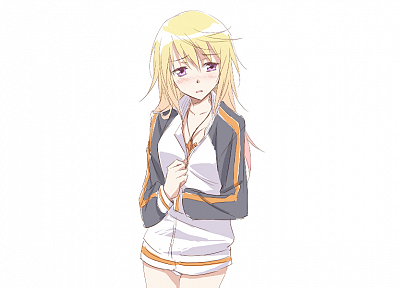 Infinite Stratos, Dunois Charlotte, simple background - related desktop wallpaper
