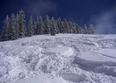 snow, trees, ski, snow landscapes - duplicate desktop wallpaper