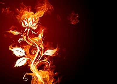 flames, flowers, fire, smoke, black background - desktop wallpaper