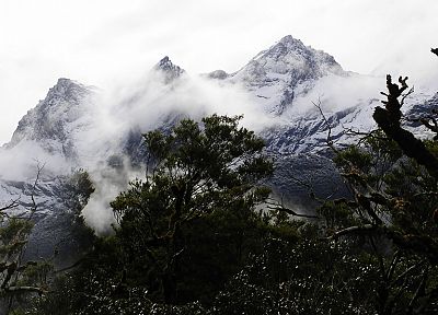 mountains, trees, fog - desktop wallpaper