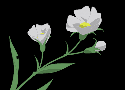 flowers, transparent, anime vectors - desktop wallpaper