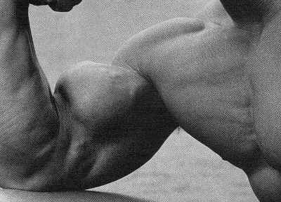 Arnold Schwarzenegger, muscles, muscular - random desktop wallpaper