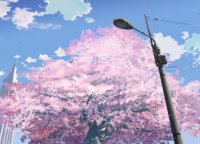 cherry blossoms - random desktop wallpaper