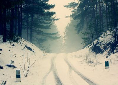 winter, snow, forests - desktop wallpaper
