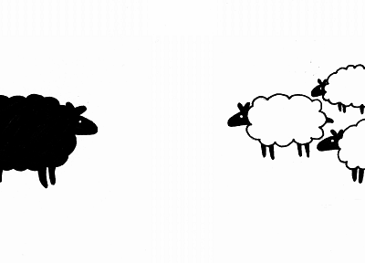 animals, sheep - random desktop wallpaper