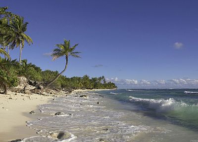 ocean, waves, tropical, palm trees, sea, beaches - random desktop wallpaper