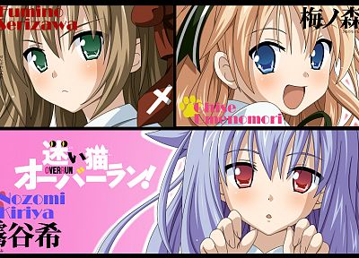 Mayoi Neko Overrun!, Kiriya Nozomi, Serizawa Fumino, Umenomori Chise - random desktop wallpaper