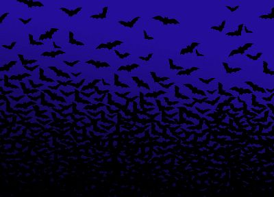swarm, mammals, bats, night sky - desktop wallpaper