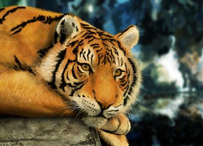 paintings, animals, tigers, science fiction, artwork - related desktop wallpaper
