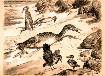 birds, dinosaurs, illustrations, sepia, prehistoric, Zdenek Burian, Hesperornis - related desktop wallpaper