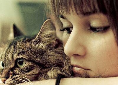 women, close-up, cats, together - related desktop wallpaper