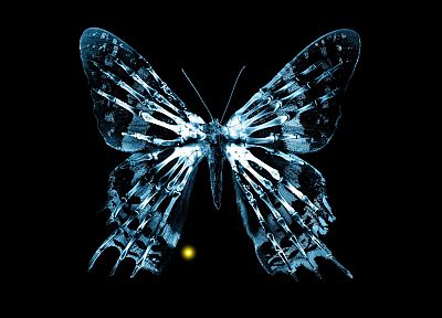 TV, Fringe, butterflies - random desktop wallpaper