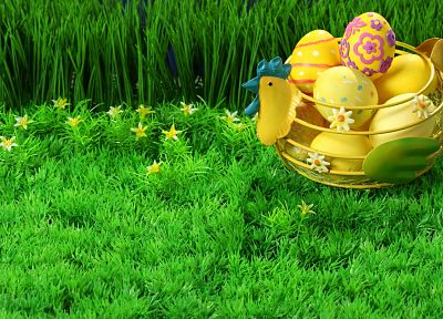 eggs, grass, chicken, Easter, easter eggs - random desktop wallpaper