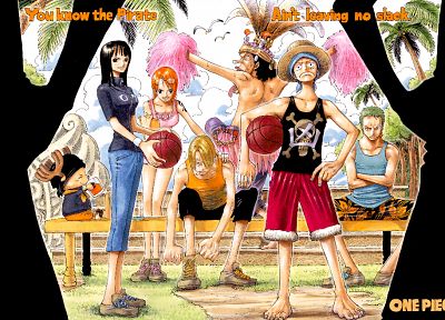 One Piece (anime), Nico Robin, Roronoa Zoro, chopper, Monkey D Luffy, Nami (One Piece), Sanji (One Piece) - desktop wallpaper