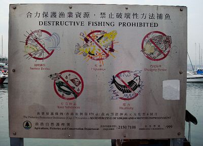 signs, fish, fishing - duplicate desktop wallpaper