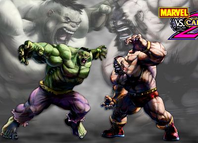 Hulk (comic character), video games, Marvel vs Capcom, Marvel Comics - random desktop wallpaper