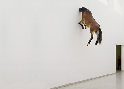 wall, horses, artwork - desktop wallpaper