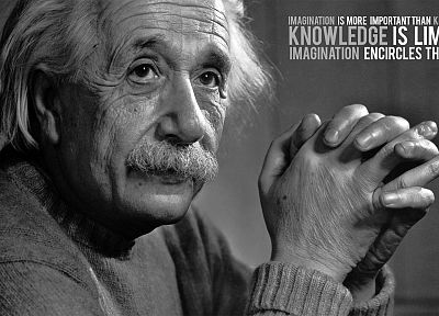 quotes, knowledge, Albert Einstein, monochrome, greyscale - desktop wallpaper