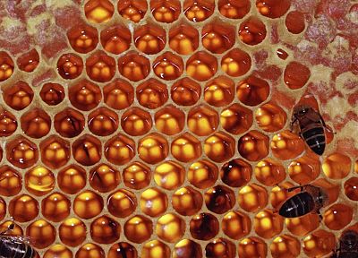 honeycomb - random desktop wallpaper