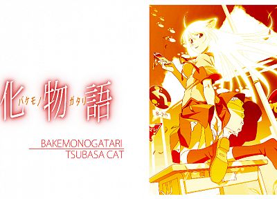 nekomimi, Bakemonogatari, Hanekawa Tsubasa, Monogatari series - related desktop wallpaper