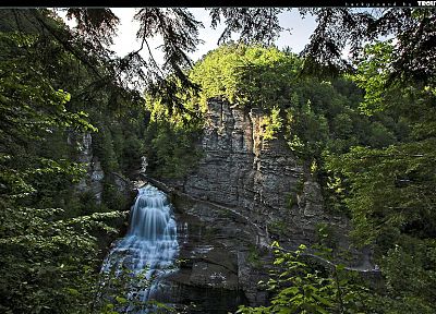 forests, stairways, waterfalls - desktop wallpaper