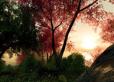 landscapes, nature, trees, forests, digital art, 3D renders - related desktop wallpaper