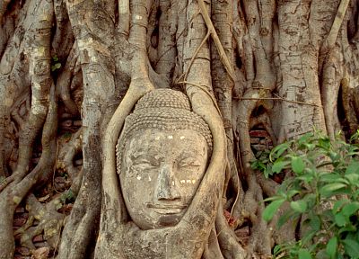 landscapes, Buddha, Thailand, Ayutthaya - desktop wallpaper