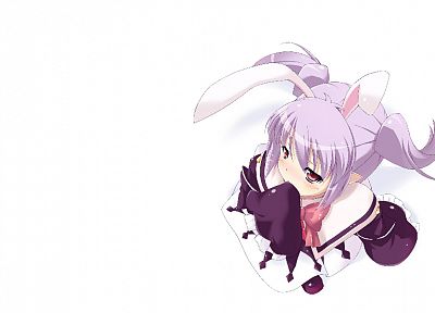 pink hair, animal ears, lolicon, bunny ears, simple background, pointy ears, Lotte no Omocha! - related desktop wallpaper
