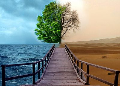 ocean, trees, deserts, bridges - random desktop wallpaper
