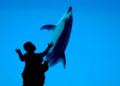 blue, dolphins, children - random desktop wallpaper