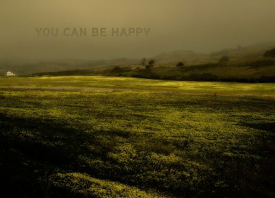landscapes, happy, grass, fields, fog, adult swim - desktop wallpaper
