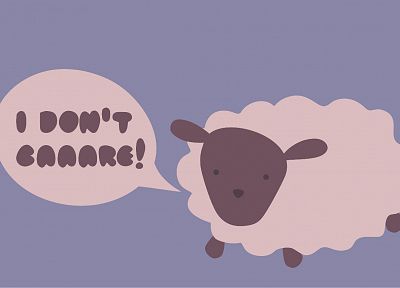 sheep - desktop wallpaper