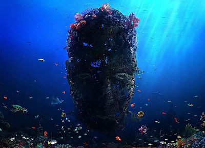 ocean, fish, wrecks, coral, Desktopography, faces - related desktop wallpaper