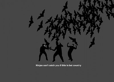 ninjas, ninjas cant catch you if, Country, bats - desktop wallpaper