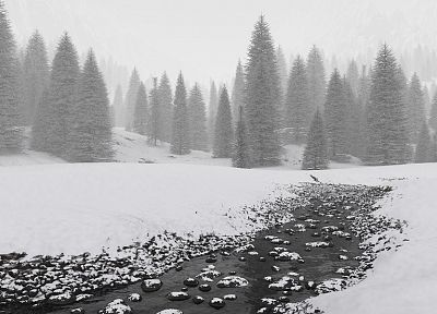 landscapes, winter, snow, trees, forests - random desktop wallpaper