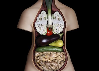 vegetables, system, anatomy - duplicate desktop wallpaper