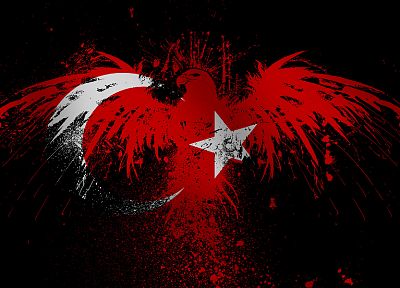 eagles, flags, Turkey - random desktop wallpaper