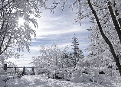 landscapes, nature, winter, snow, trees, skylines, fences - random desktop wallpaper