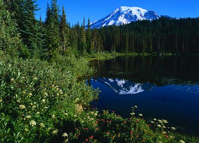 mountains, lakes, reflections, pine trees - desktop wallpaper