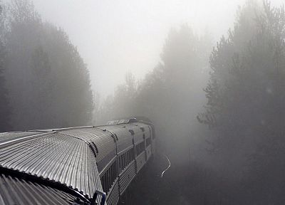 trees, trains, fog, mist - desktop wallpaper
