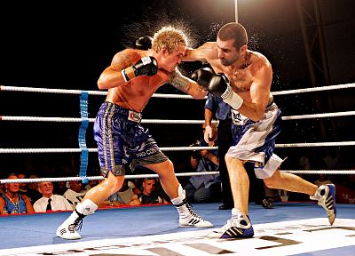 fight, boxing - duplicate desktop wallpaper