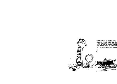 Calvin, Hobbes, Calvin and Hobbes - random desktop wallpaper