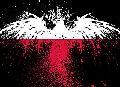 red, white, eagles, flags, Polish, Poland, black background, White Eagle - random desktop wallpaper