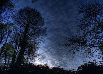 clouds, landscapes, trees, HDR photography - desktop wallpaper