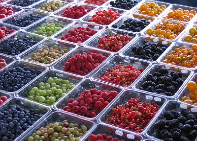 fruits, food, grapes, raspberries, tomatoes, blueberries - desktop wallpaper