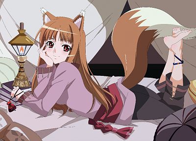 brunettes, tails, Spice and Wolf, animal ears, red eyes, Holo The Wise Wolf, inumimi, anime girls - random desktop wallpaper