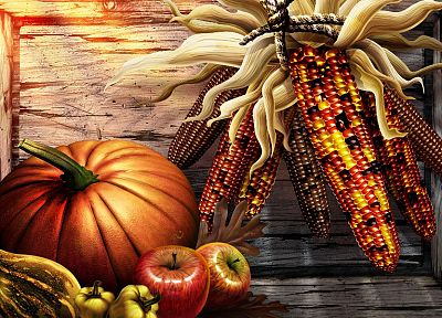 corn, pumpkins - random desktop wallpaper