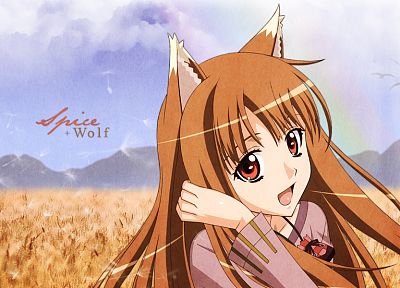 Spice and Wolf, animal ears, Holo The Wise Wolf - desktop wallpaper